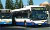 Newcastle Buses